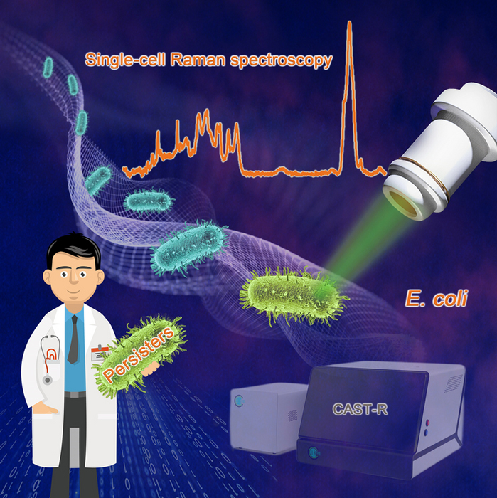 New Raman study reveals how E. coli cells evade antibacterial treatment
